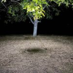 Dulotec BLR2 Camping Lantern + 2 2000 mAh Batteries » Dulotec.com