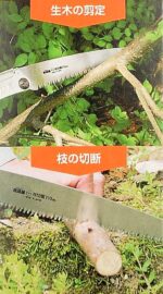 210 mm replacement saw blade with coarse teeth » Dulotec.com