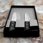 Tojiro Basic TBS-200 Kitchen Knife Set - VG10 Laminated Steel » Dulotec.com
