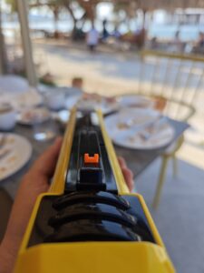 Is there anything more annoying than flies? 2