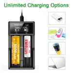 Vapcell L2 Charger » Dulotec.com