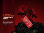 Фенер Fenix E03R V2.0 за ключодържател - червена роза в подаръчна кутия » Dulotec.com